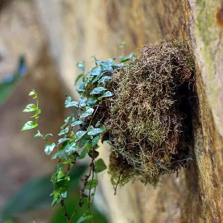 Porto Calm Terrace Apartment