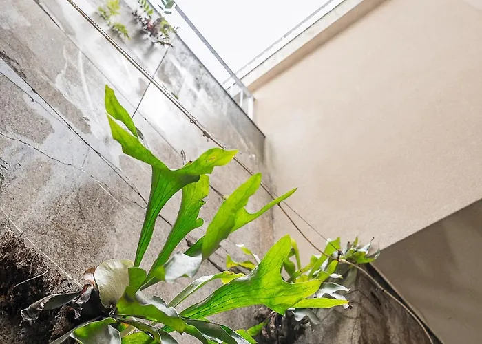 Calm Terrace * Oporto