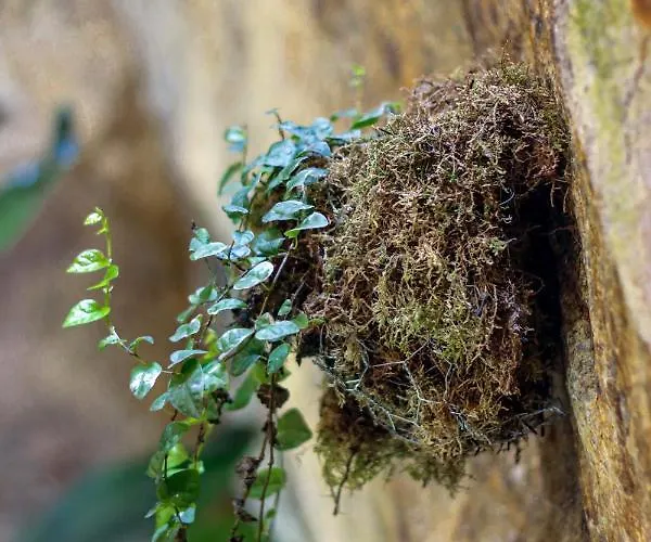 Porto Calm Terrace Apartment